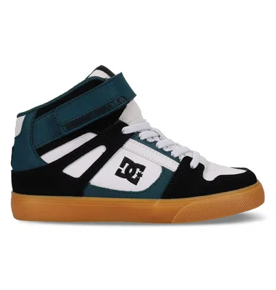 Dc Shoes Kids' Pure Hi Top Ev Shoes In Multi