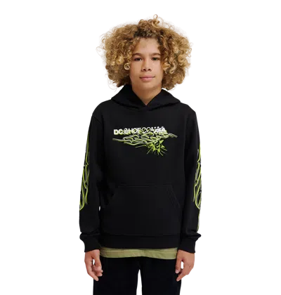 Dc Shoes Kids' Side Flame Hoodie In Black