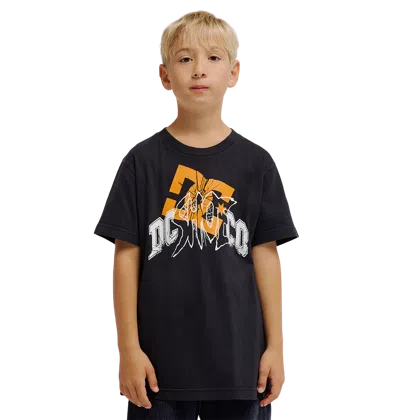 Dc Shoes Kids' Speratic Tee In Multi
