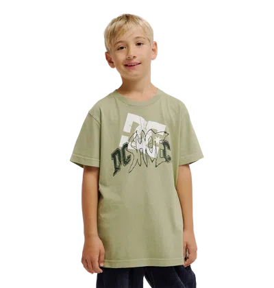 Dc Shoes Kids' Speratic Tee In Green