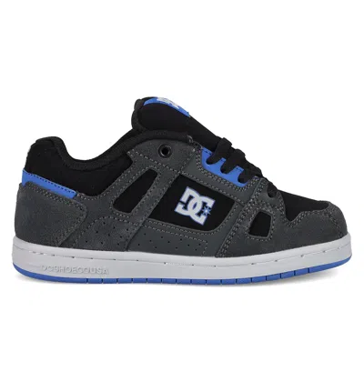 Dc Shoes Kids' Stag Shoes In Blue