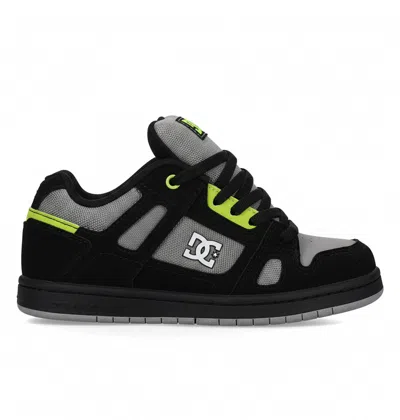 Dc Shoes Kids' Stag Shoes In Multi