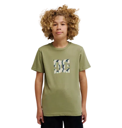 Dc Shoes Kids' Star Filled Tee In Green