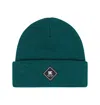 Dc Shoes Label Beanie In Green