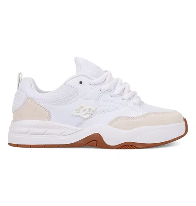 Dc Shoes Men's Ascend Skate Shoes In Multi
