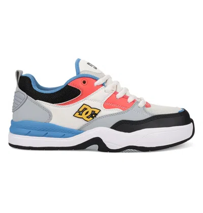 Dc Shoes Men's Ascend Skate Shoes In Multi