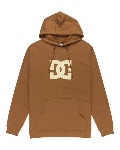 Dc Shoes Men's Dc Star Hoodie In Brown