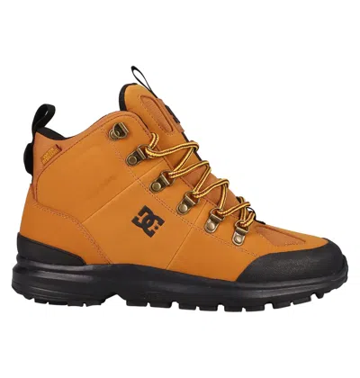 Dc Shoes Men's Dc Tarmont Shoes In Wheat/black
