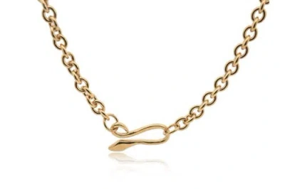 Dea Dia Serpent Hook Chain Necklace In Gold