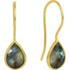Dean Davidson Nosara Droplet Earrings In Gold