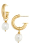 Dean Davidson Siena Baroque Freshwater Pearl Drop Hoop Earrings