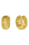 Dean Davidson Trancoso Huggie Hoop Earrings In Gold
