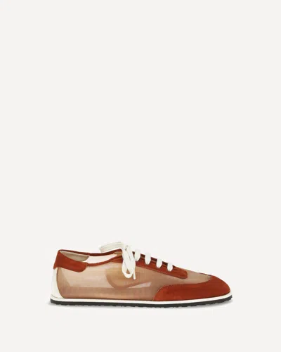 Dear Frances Balla Lace-up Sneakers In Brown