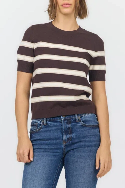 Dear John Amaris Short Sleeve Crew Neck Stripe Sweater In Shaved Chocolate