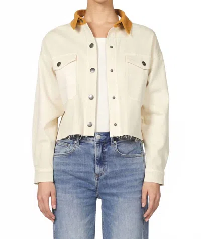 Dear John Denim Cropped Gina Jacket In Cashew In White