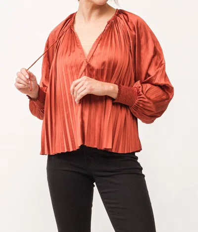 Dear John Denim Deletta Long Sleeve Pleated Satin Top In Cathay Spice In Multi