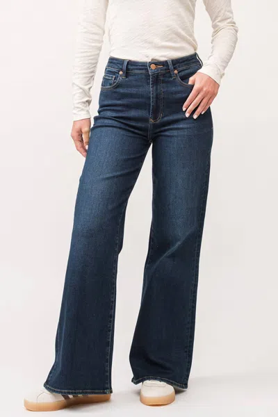 Dear John Denim Fiona High Rise Denim Jeans In Iguaza In Multi