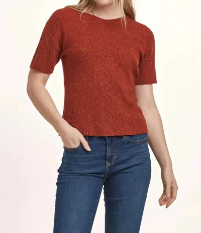 Dear John Denim Giana Crew Neck Short Sleeve Sweater In Intense Rust In Multi