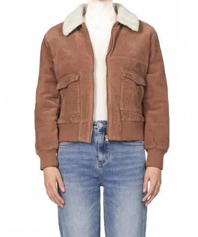 Dear John Denim Hallie Corduroy Jacket In Melted Butterscotch In Multi