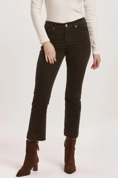 DEAR JOHN DENIM JEANNE JEANS IN FOREST PINE