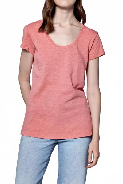 Dear John Denim Katya Short Sleeves Tee In Terracotta In Brown