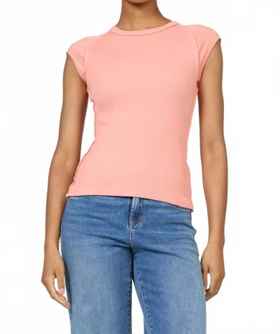 Dear John Denim Kiyomi Crew Neck Top In Terracotta In Pink
