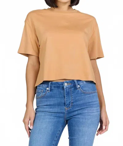 Dear John Denim Maddox Short Sleeve Tee In Biscuit In Nude