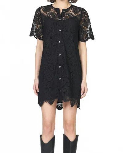 Dear John Denim Marquette Novelty Lace Mini Dress In Black