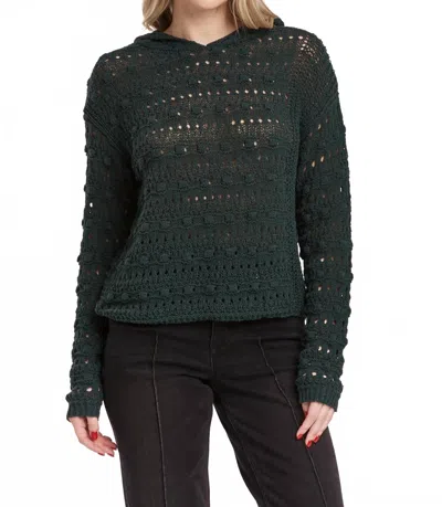DEAR JOHN DENIM OLSEN SWEATER IN DARK MOSS