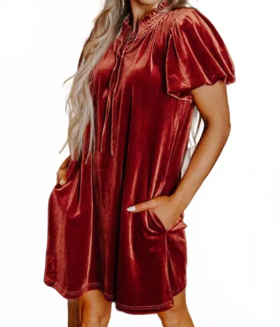 Dear Lover Velvet Dress With Puff Sleeves In Copper In Red