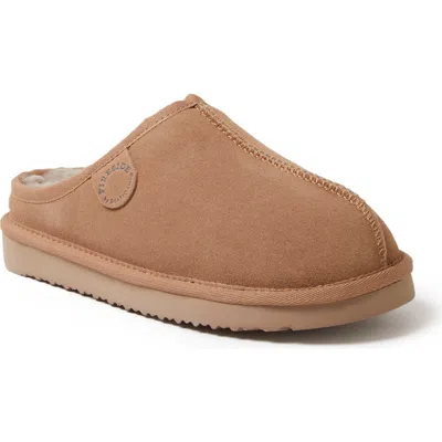 Dearfoams Fireside Greta Genuine Shearling Clog Slipper In Multi