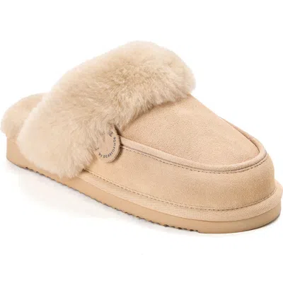 Dearfoams Fireside Melville Genuine Shearling Scuff Slipper In Neutral