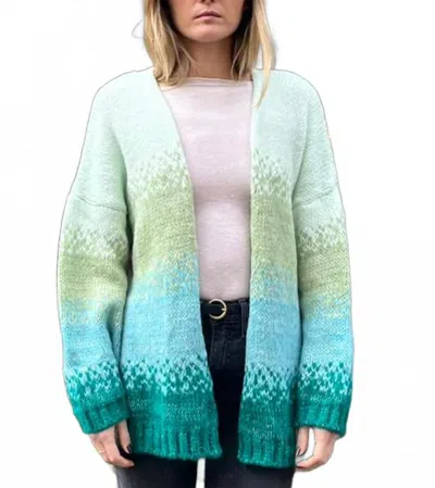 Debbie Katz Marta Long Sleeve Sweater In Green