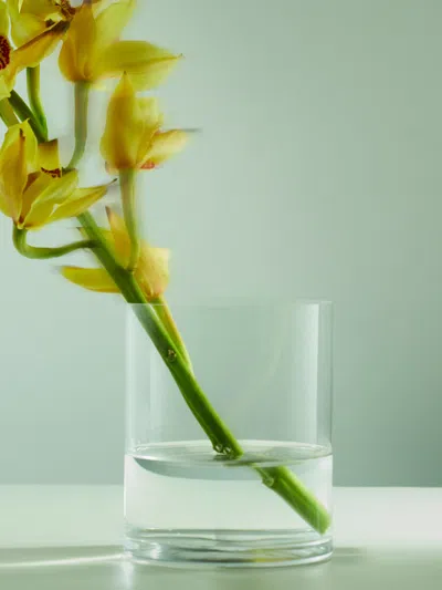 Deborah Ehrlich Hand-blown Crystal Poppies Vase (6.5in/16.5cm) In Multi