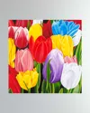 DECHAMBY DESIGN TULIPES MULTICOLORS FINE ART PRINT