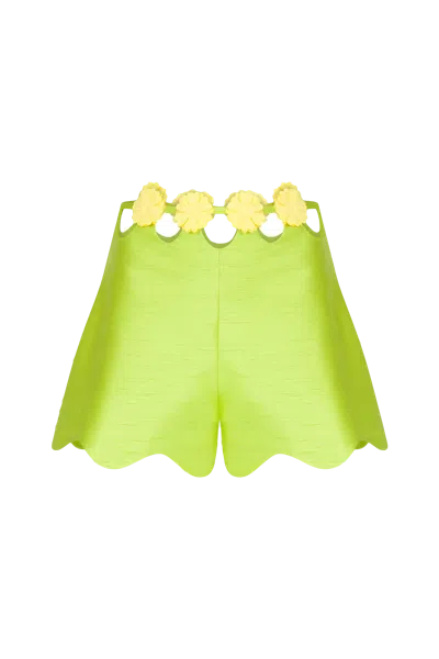 Declara Zinnia Floral Shorts In Green