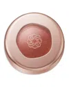 Decorté Eye Glow Gem Skin Shadow - Silky Matte In M Rustic Brown