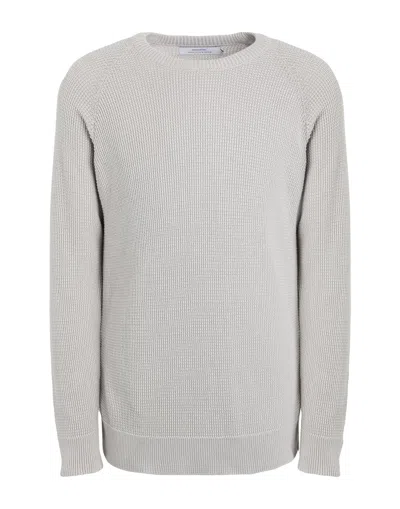 Dedicated Sweaters In Grey