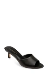 Dee Ocleppo Bogota Pointed Toe Slide Sandal In Black