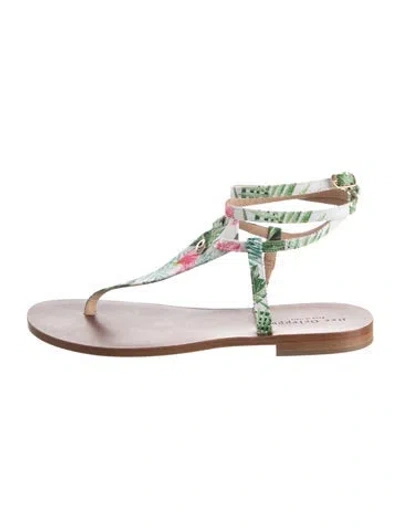Pre-owned Dee Ocleppo Leather Floral Print Sandals In Brown