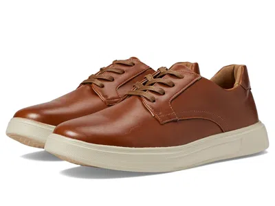 Deer Stags Albany In Brown