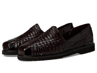 Deer Stags Antonio In Brown