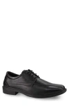 Deer Stags Easton Supro Derby In Black