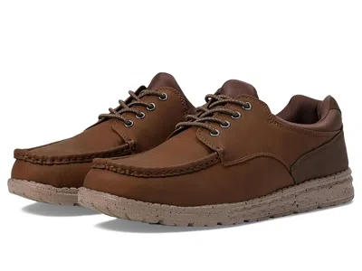 Deer Stags Uplift In Brown