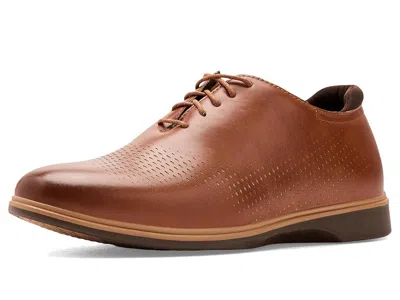 Deer Stags Valencia In Brown