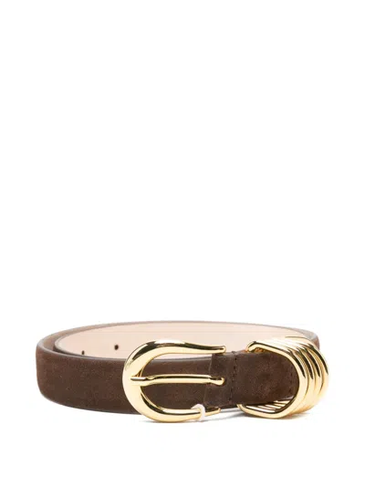 Dehanche Buckled Suede Belt In Brown