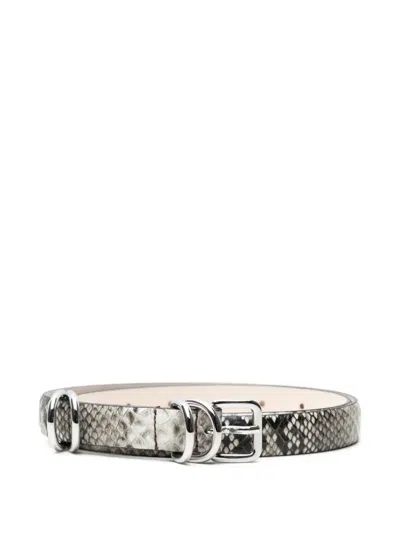 Dehanche Constance Belt In Gray
