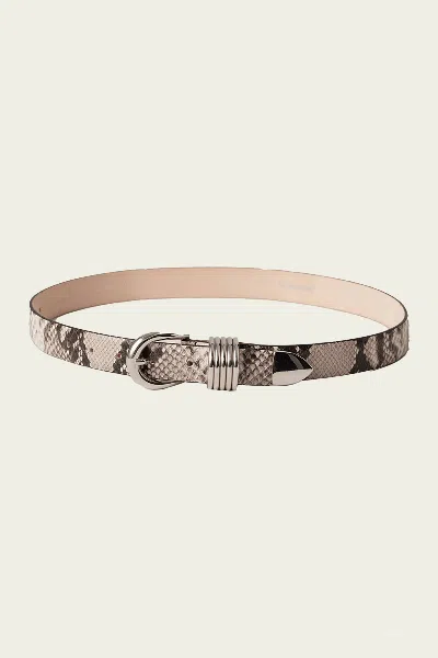 Dehanche Hollyhock Snake Belt In Silver
