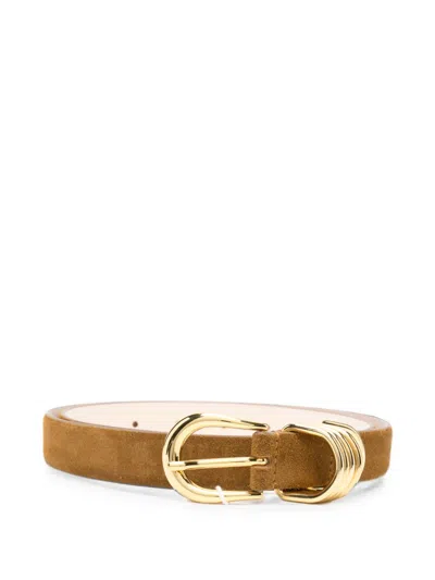 Dehanche Hollyhock Suede Belt In Brown