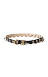 Dehanche Revenge Leather Belt In Black